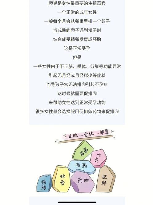 试管婴儿促排期正常是几天？全面解析步骤与注意事项