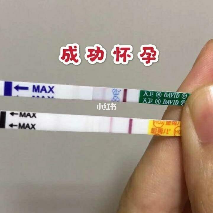 成功妊娠