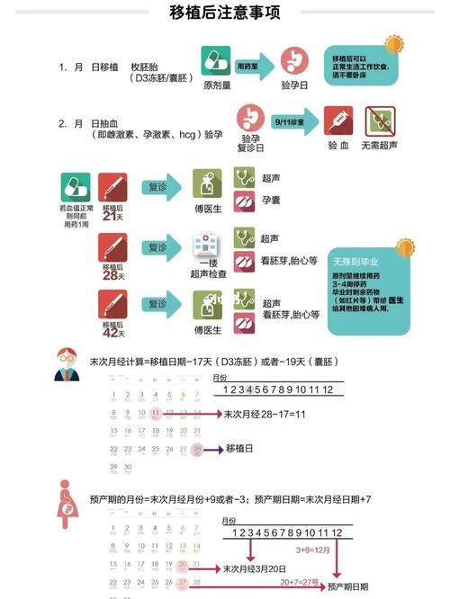 移植时间