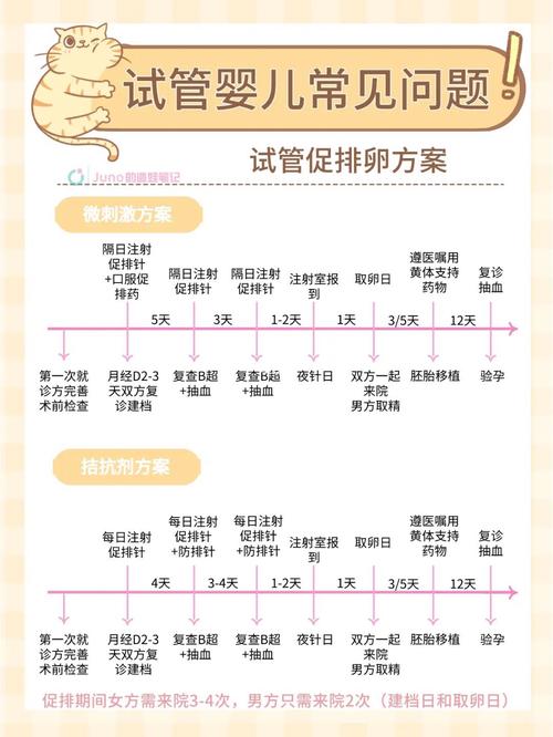 十堰试管婴儿、促排卵方案、生殖医疗