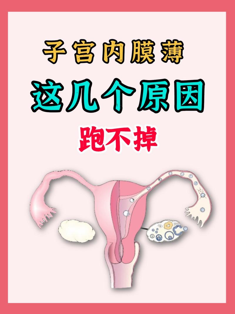 内膜薄