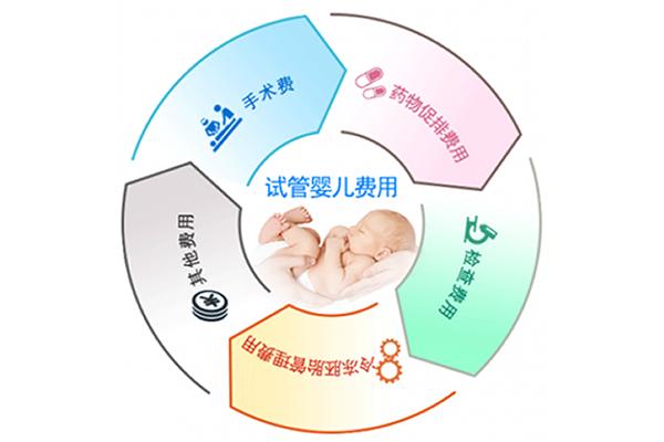 双胞胎试管婴儿的费用大揭秘：究竟需要多少钱？