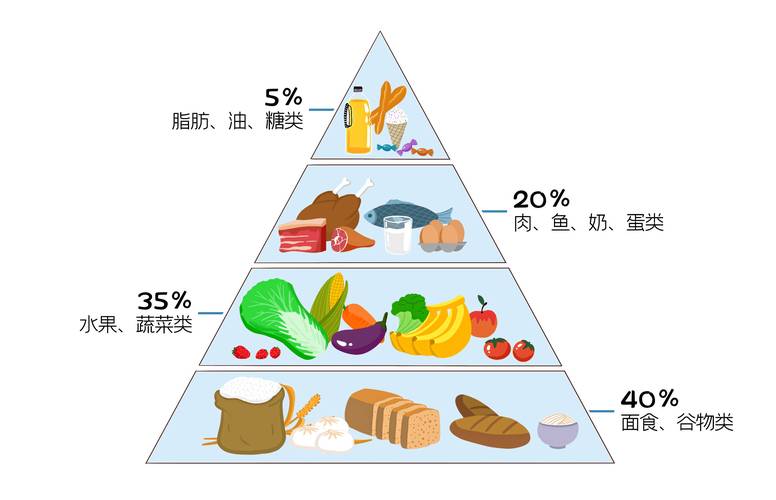  饮食指导