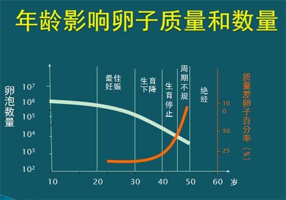 试管婴儿培育成功率高吗？深度解析影响因素及提高方法