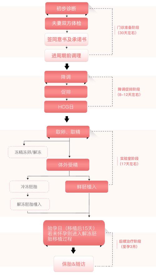 试管婴儿一代周期究竟有多长？详解每个步骤时间安排