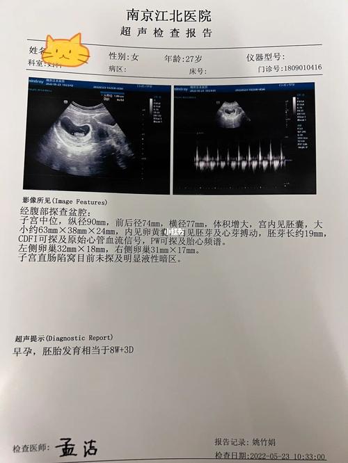 怀孕 6-8 周