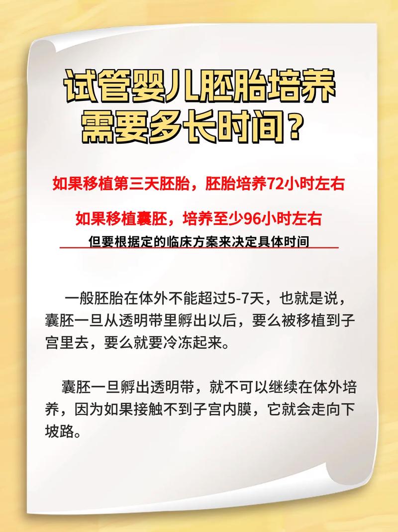 试管婴儿过程中，胚胎培养需要多少时间？