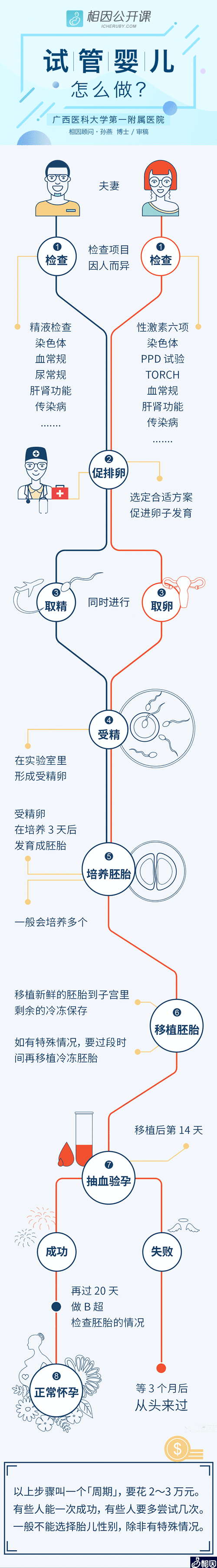 试管婴儿正常怀孕需要多少天？详解周期与注意事项