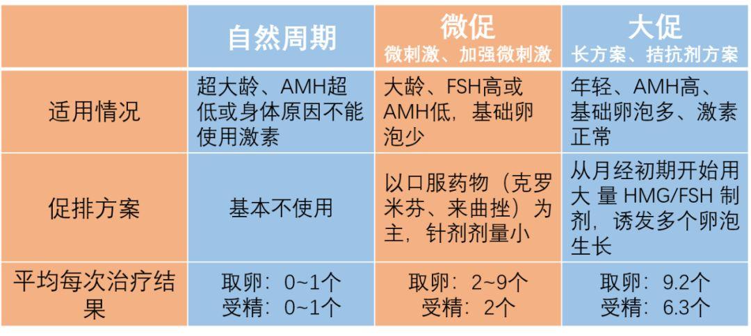 试管婴儿失败意味着什么？常见原因及应对措施分析