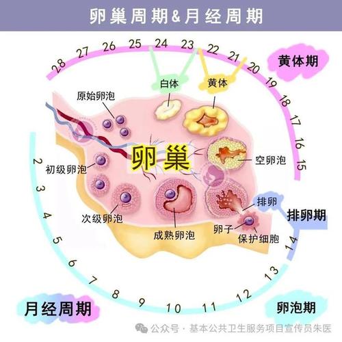 生殖系统健康状况