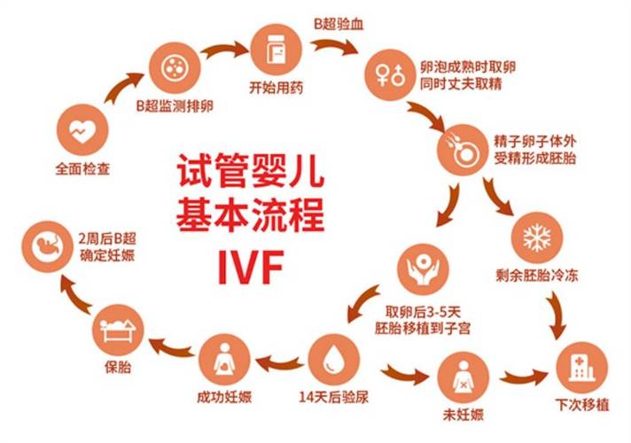 试管婴儿、移植着床、医疗流程、生殖健康