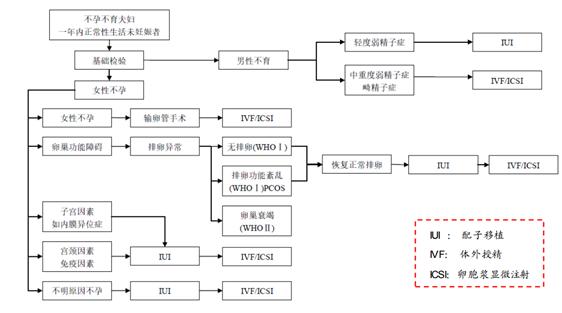 一代试管婴儿、试管婴儿流程、辅助生殖、生殖医疗