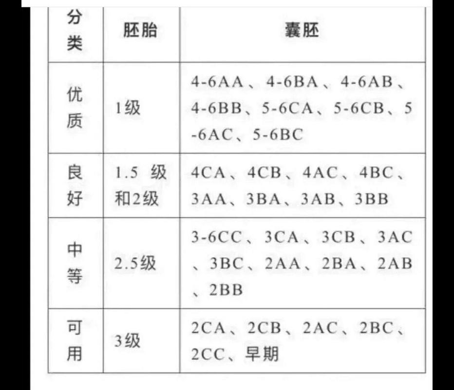 胚胎级别