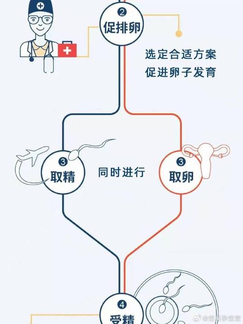 试管婴儿手术全流程详解，怎样才能成功？