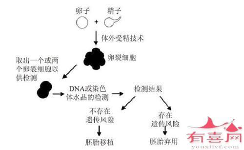  胚胎植入前遗传学诊断