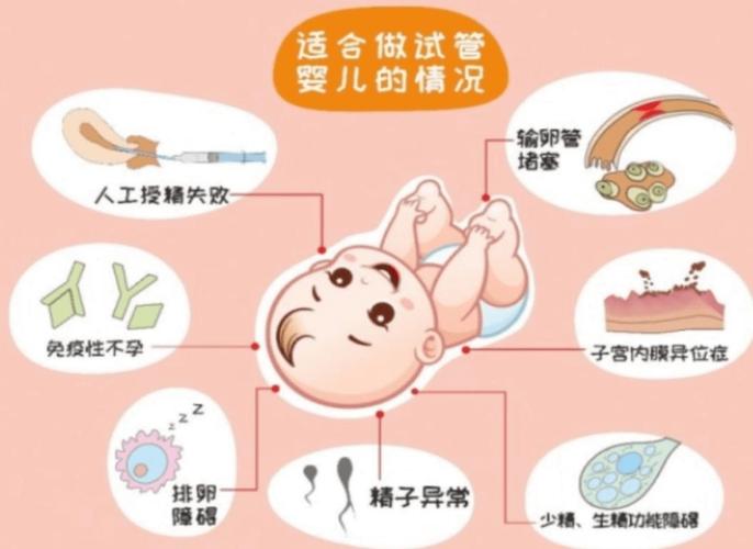 试管婴儿、辅助生殖、卵子数量