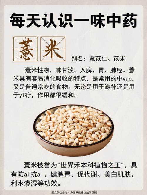 试管婴儿移植后饮食指南：薏米究竟能否食用？