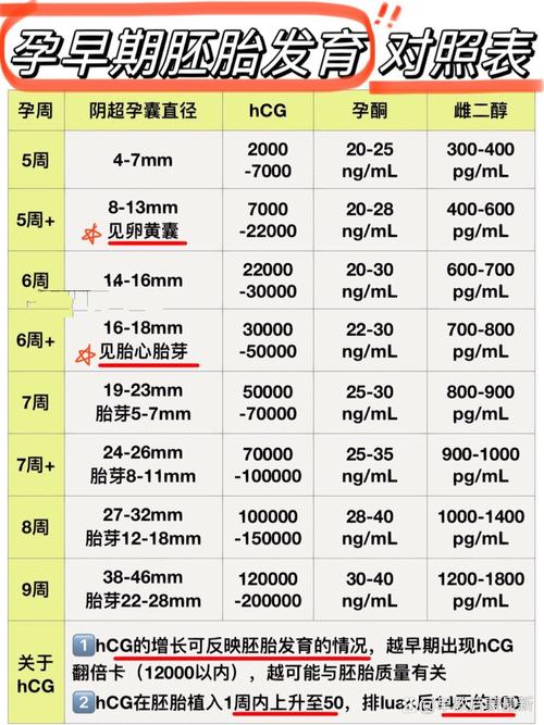 试管婴儿发育：多大时可以听到胎心？