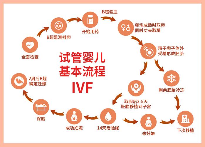 试管婴儿、卵泡期长方案、生育成功、医疗生殖