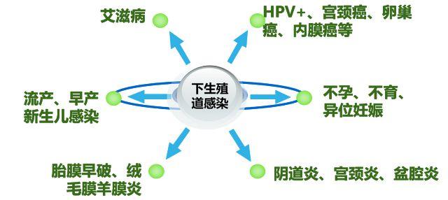 生殖系统疾病