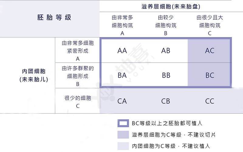 胚胎等级 4AA