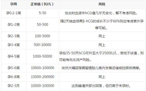 hCG 水平