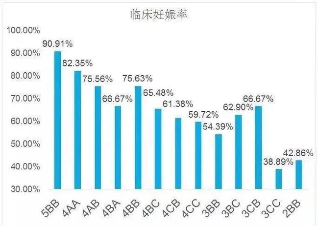 移植胚胎数量