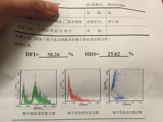 精子 DNA 碎片率