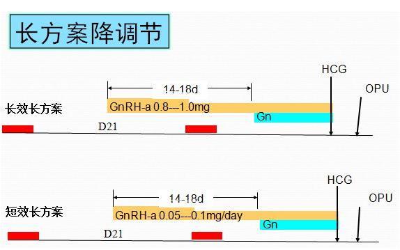 长方案