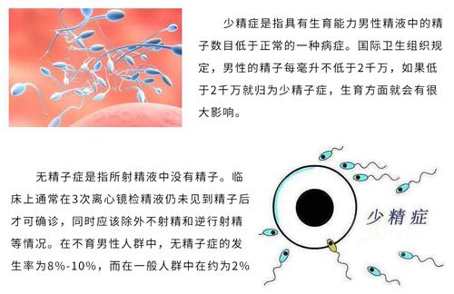 少精不怀孕能否通过试管婴儿实现生育梦想？