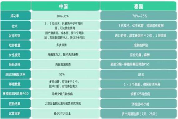 】：试管婴儿，泰国，费用分析，预算建议
【描述】：本文全面分析了泰国试管婴儿的费用构成、影响因素，并提供了实用的预算建议，帮助您更好地规划试管婴儿之旅。