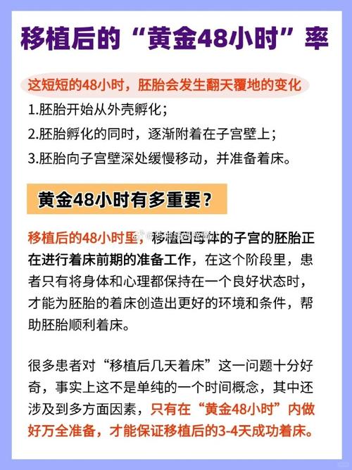 试管婴儿移植后时间