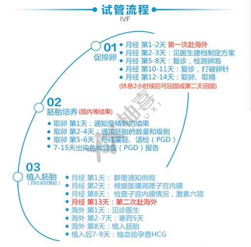 试管婴儿，费用，流程，节省费用