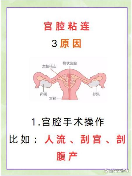 刮宫原因