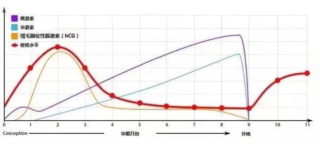 HCG 波动