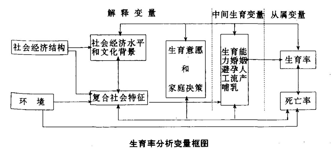 生育影响