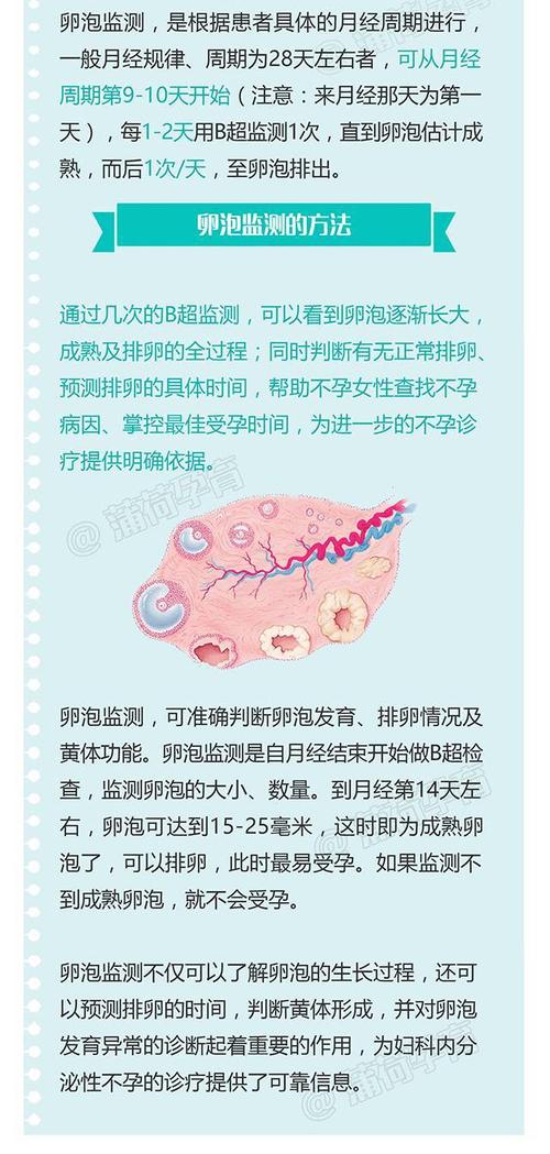 试管婴儿卵泡成熟过了该怎么办？