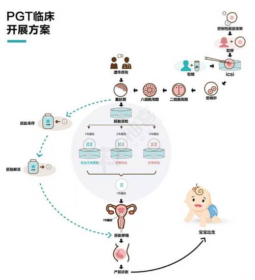 同型地贫患者是否能选择第三代试管婴儿技术？