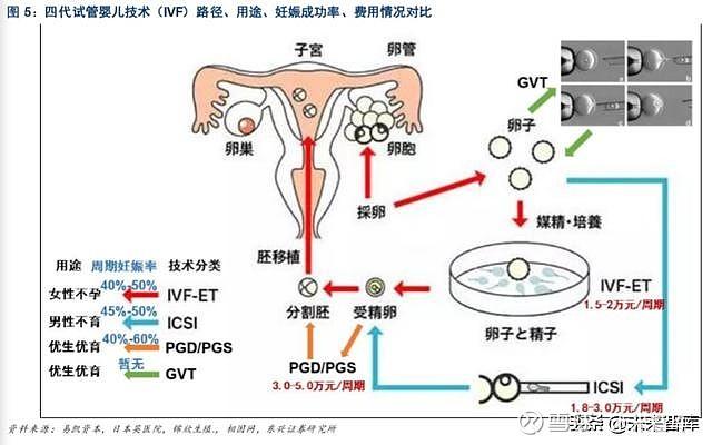 试管婴儿、生殖医学、全新技术