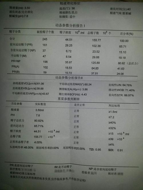 精子质量