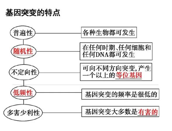 基因突变