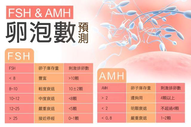 试管婴儿、移植成功率、卵子质量、精子质量