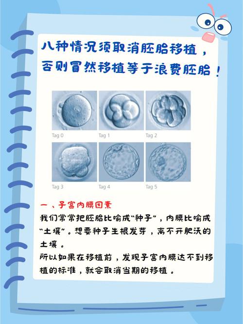 试管婴儿技术中一次移植的最佳数量是多少？