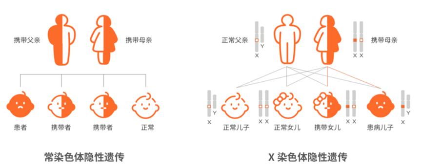 遗传疾病筛查