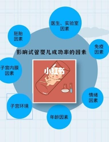 延边医院试管婴儿成功率揭秘：如何提升受孕几率？