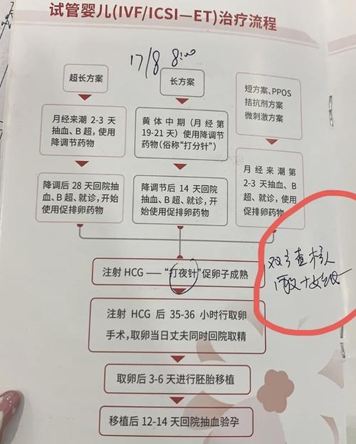 试管婴儿促排周期要多久？详细解析过程与时间安排