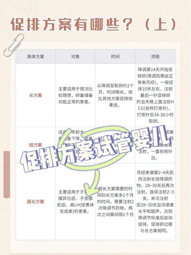 试管婴儿促排方案