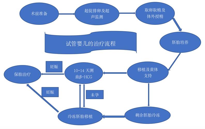 IVF 试管婴儿三代技术