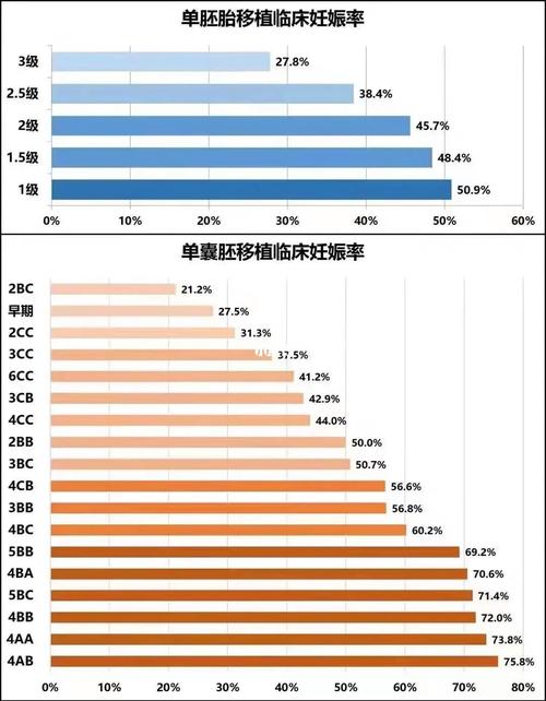 试管婴儿、胚胎等级、成功率