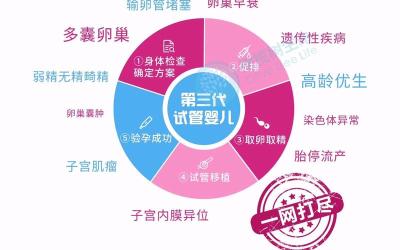 试管婴儿技术：为什么不从输卵管移植？